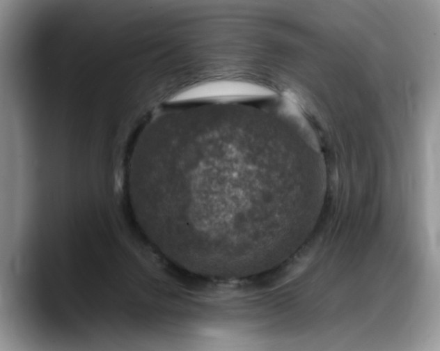 X0000088230072200705292142