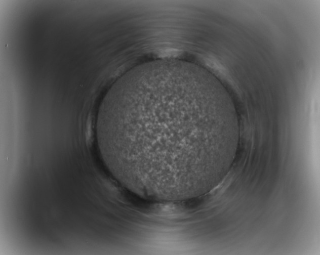 X0000088230074200705292142