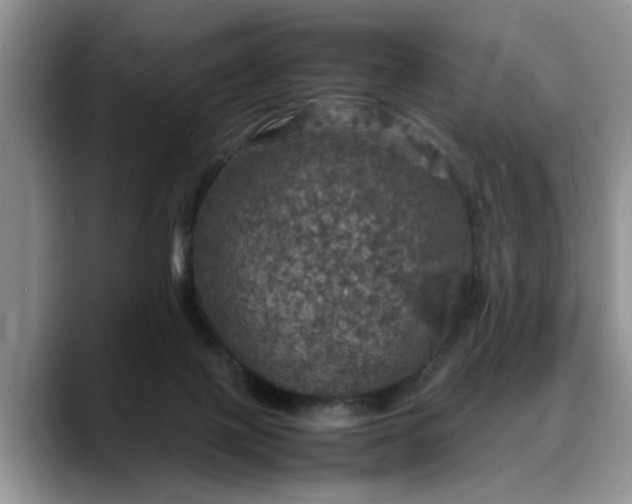 X0000088230075200705292142
