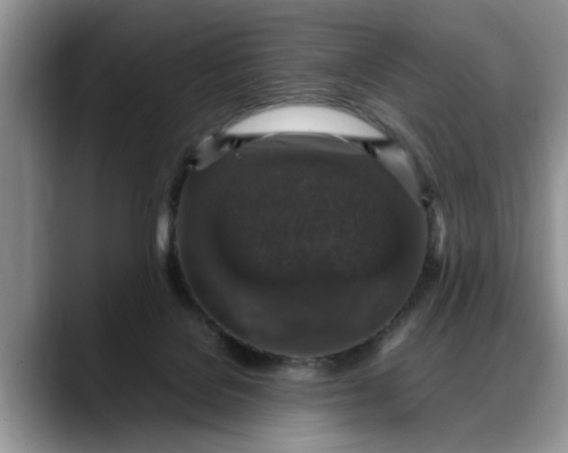 X0000088230076200705292142