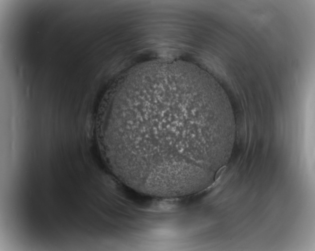 X0000088230078200705292142