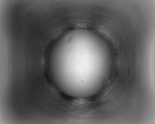 X0000088230079200705292142