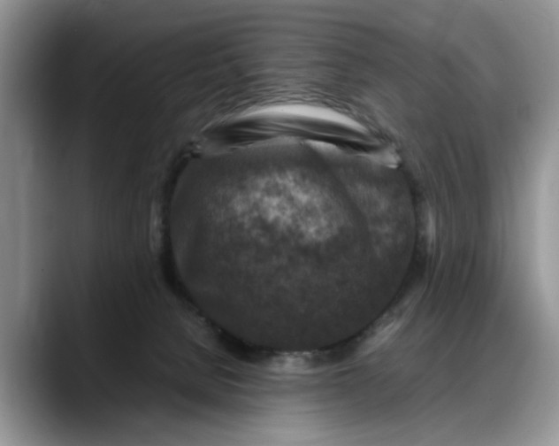 X0000088230080200705292142