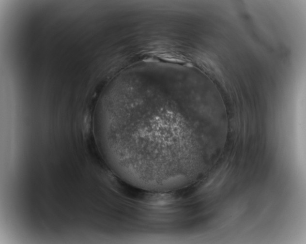 X0000088230081200705292142
