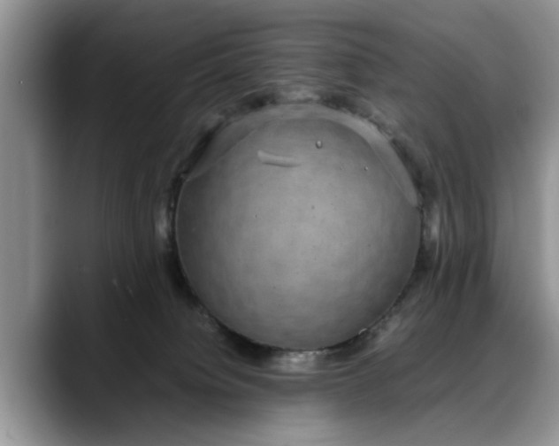 X0000088230084200705292142
