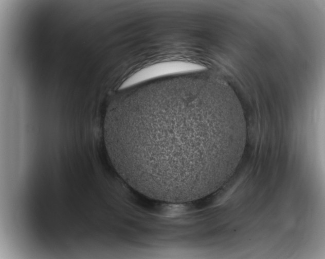 X0000088230085200705292142