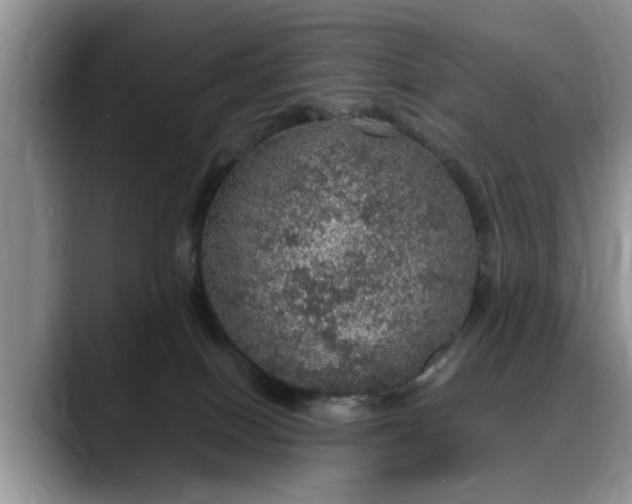 X0000088230086200705292142