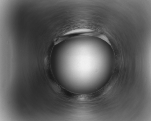 X0000088230088200705292142