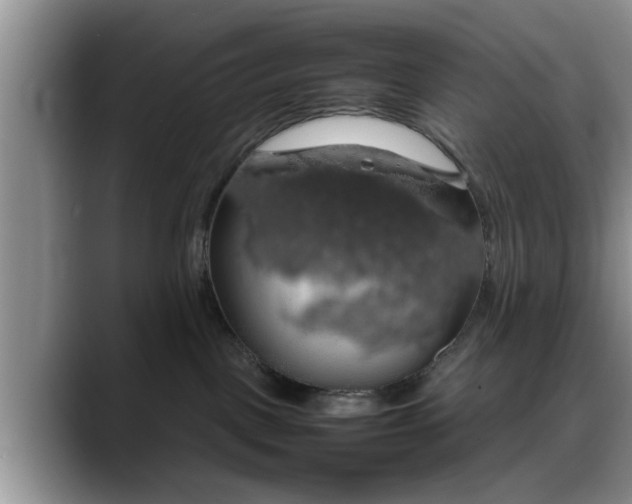 X0000088230093200705292142