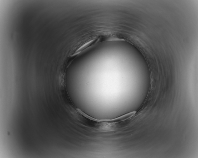 X0000088230096200705292142