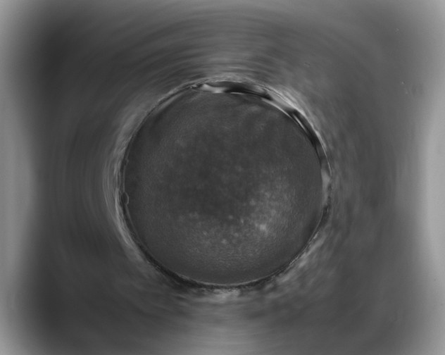 X0000088230097200705292142