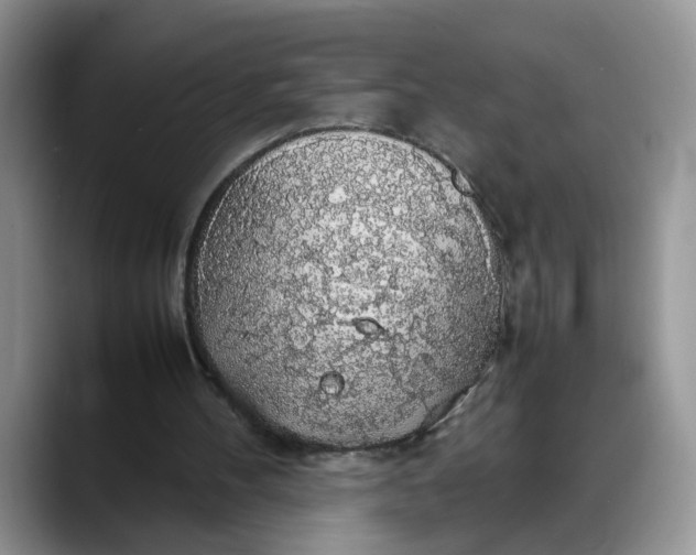 X0000088230100200705292142