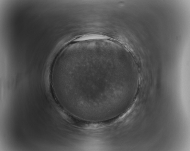 X0000088230101200705292142