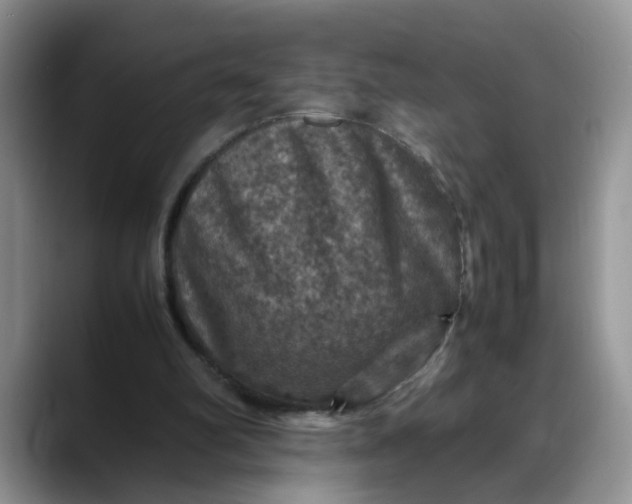 X0000088230102200705292142