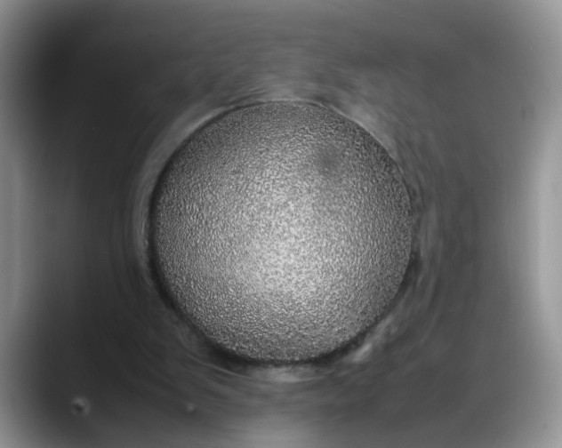 X0000088230103200705292142