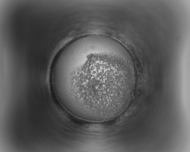 X0000088230104200705292142
