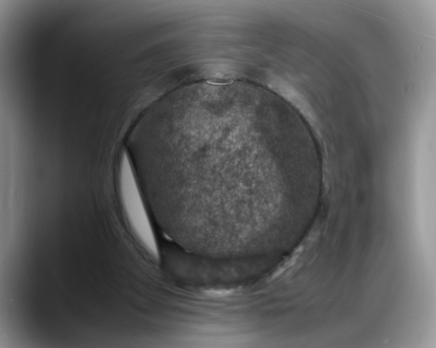 X0000088230105200705292142