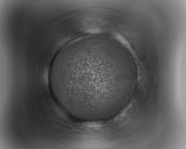 X0000088230106200705292142