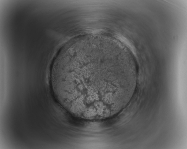 X0000088230107200705292142