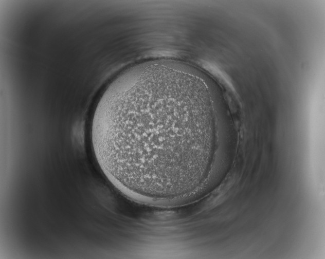 X0000088230108200705292142