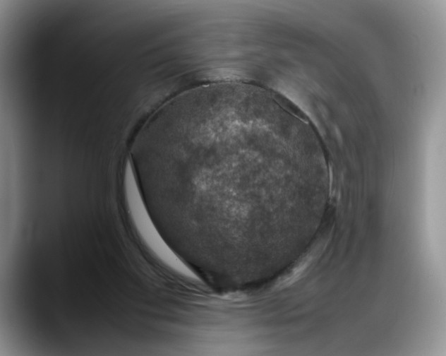 X0000088230109200705292142