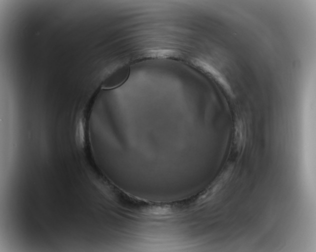 X0000088230110200705292142