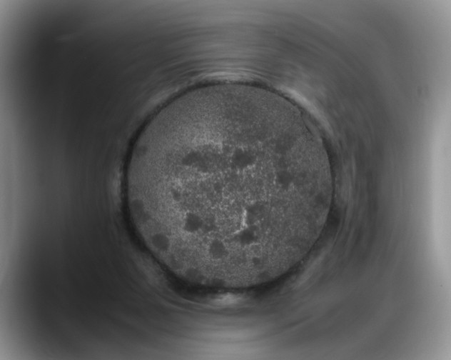 X0000088230111200705292142