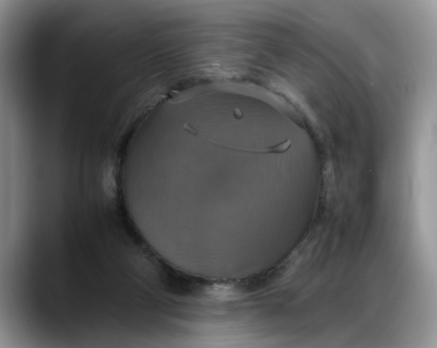 X0000088230114200705292142