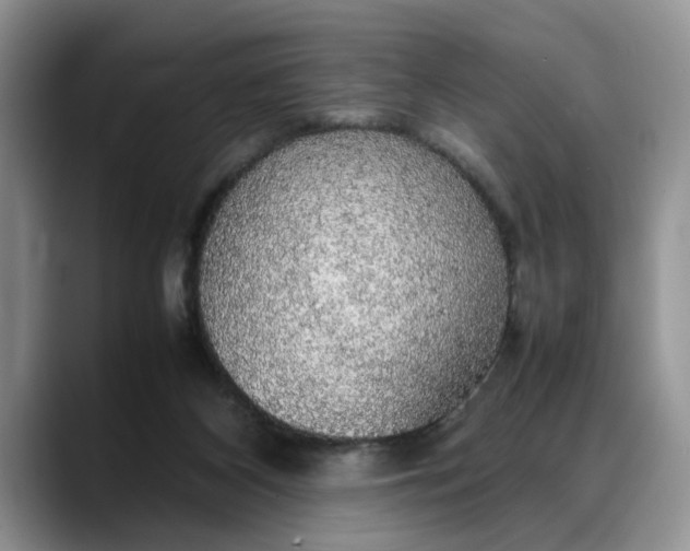 X0000088230116200705292142