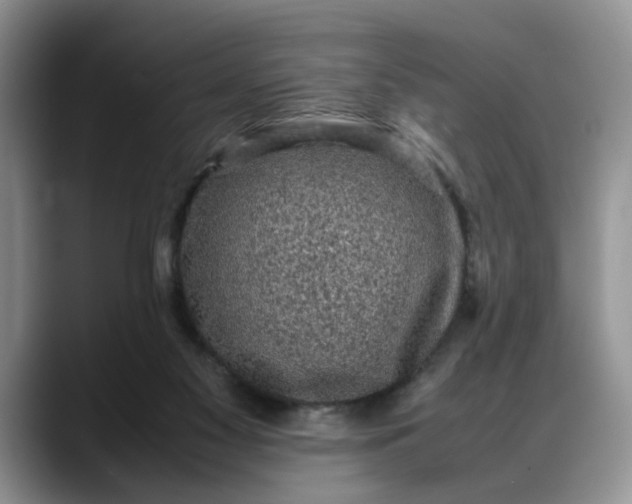 X0000088230117200705292141