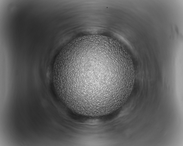 X0000088230119200705292141