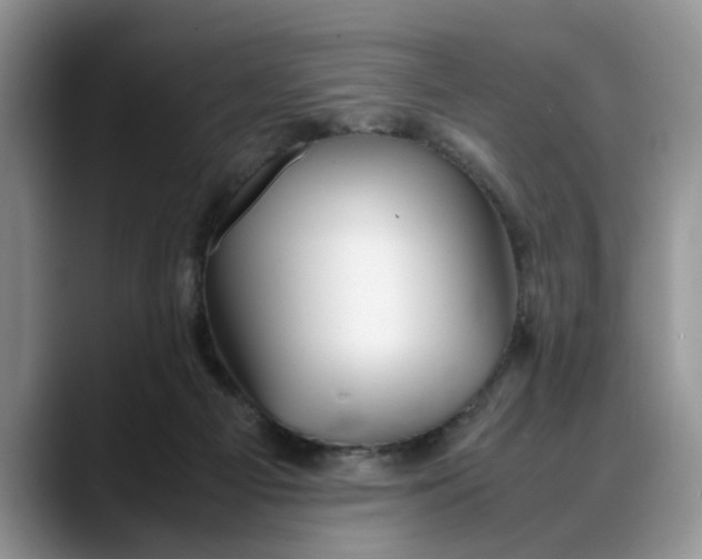 X0000088230121200705292141