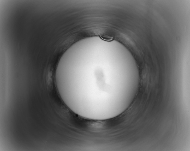 X0000088230122200705292141