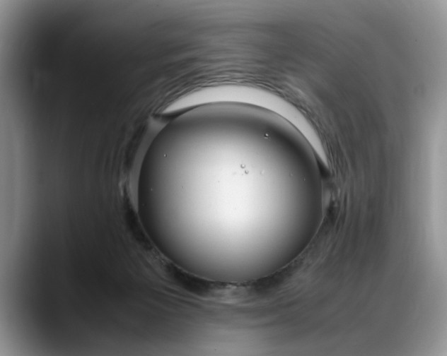 X0000088230125200705292141