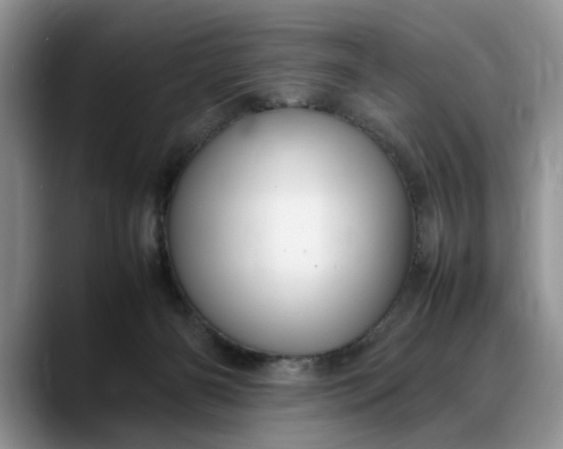 X0000088230126200705292141