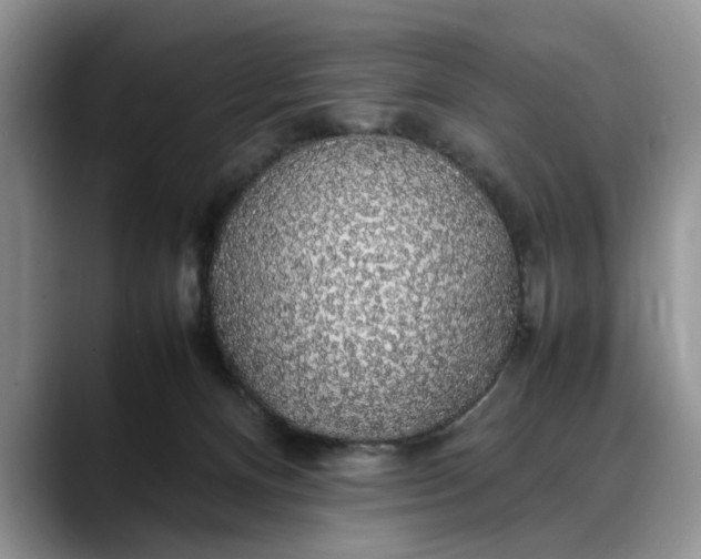 X0000088230128200705292141