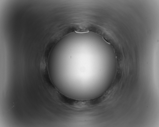 X0000088230129200705292141