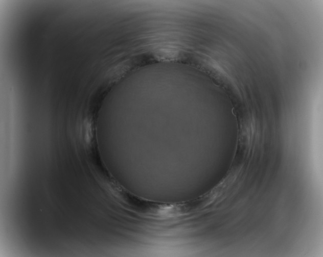 X0000088230130200705292141