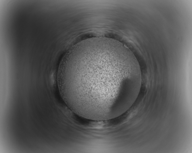 X0000088230131200705292141