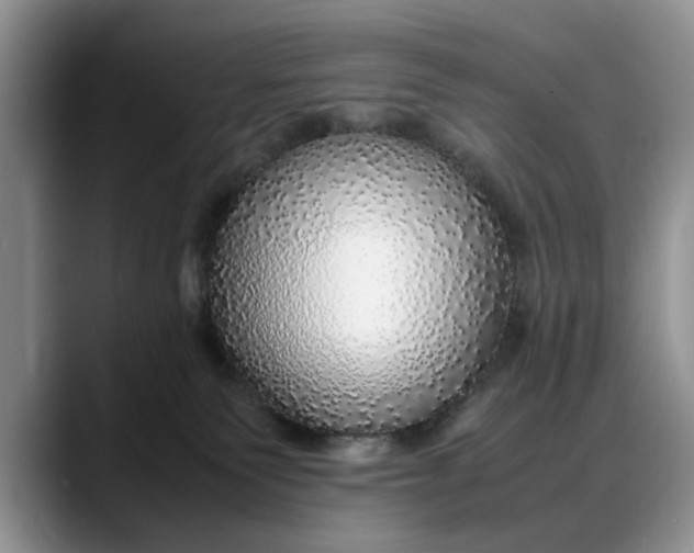X0000088230135200705292141