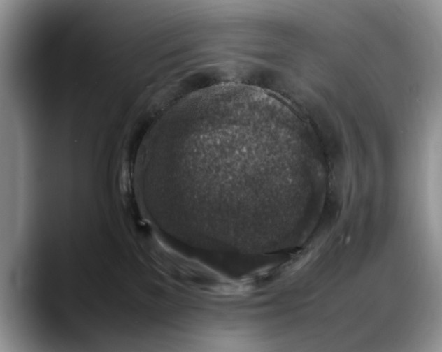 X0000088230137200705292141