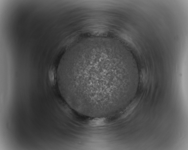 X0000088230138200705292141