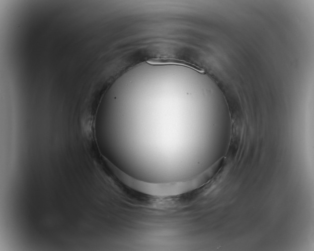 X0000088230141200705292141