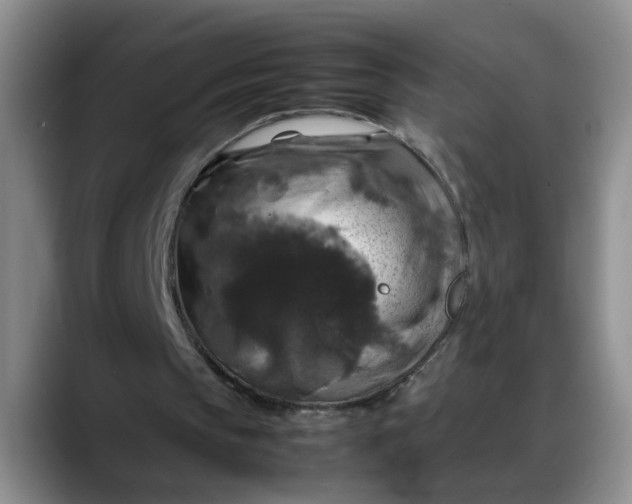 X0000088230145200705292141