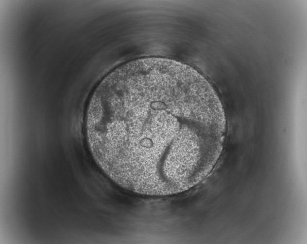 X0000088230146200705292141