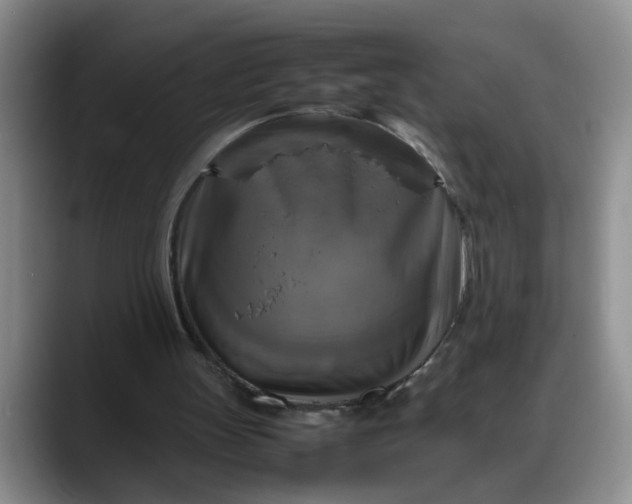 X0000088230147200705292141