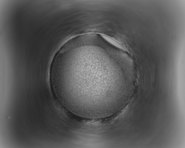 X0000088230148200705292141