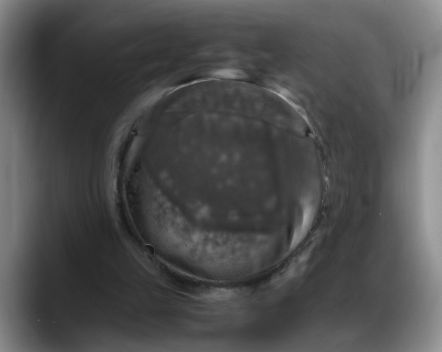 X0000088230149200705292141