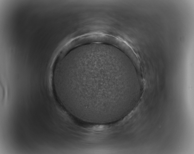 X0000088230152200705292141