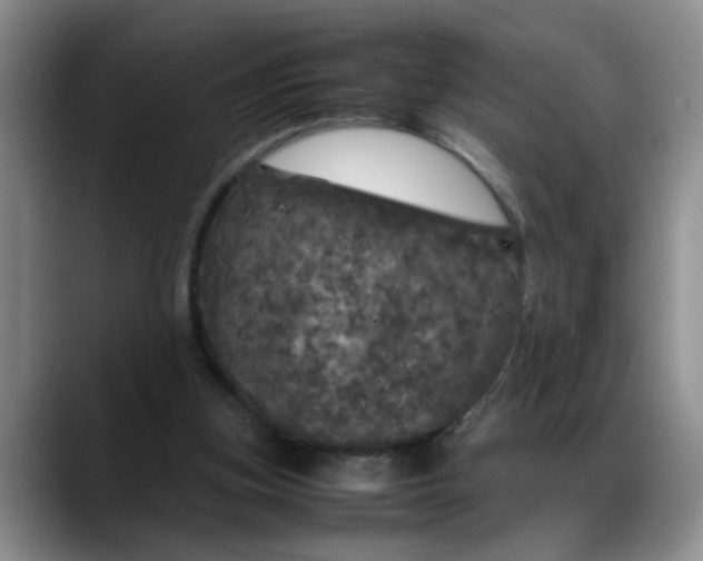 X0000088230155200705292141